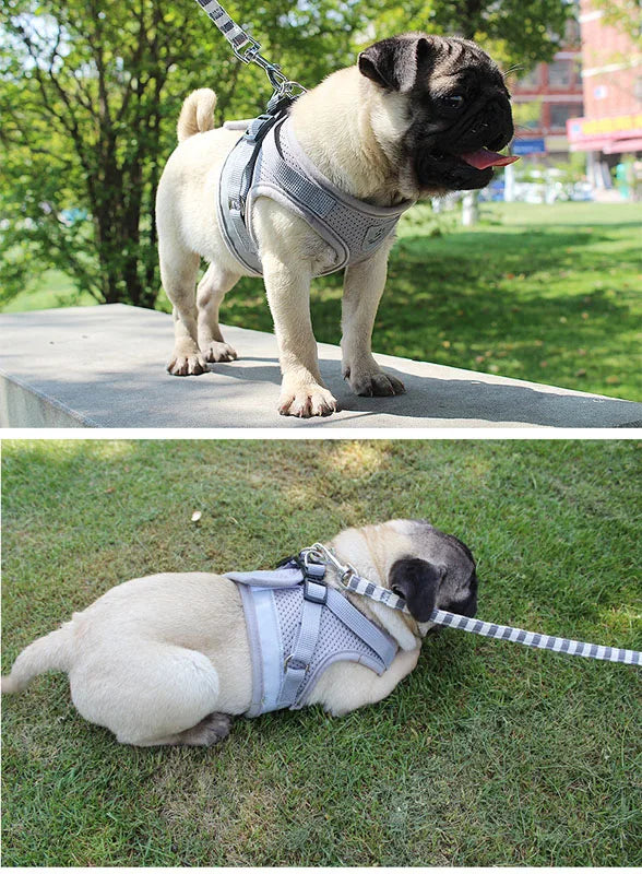 Pet Dog Harness and Leash Set Puppy Cat Chest Strap Reflective for Small Medium Dogs Cat Harnesses Vest Pug Chihuahua Bulldog
