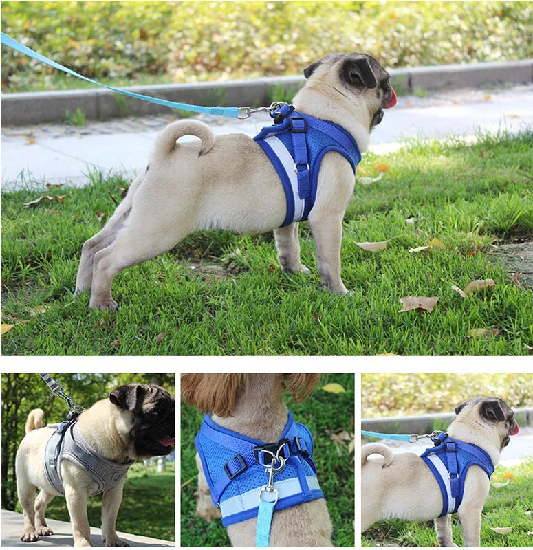 Pet Dog Harness and Leash Set Puppy Cat Chest Strap Reflective for Small Medium Dogs Cat Harnesses Vest Pug Chihuahua Bulldog
