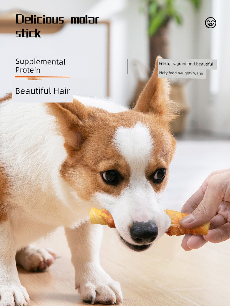 Bite-Resistant Medium-Sized Dog Calcium Supplement Teddy Corgi Teeth Cleaning PET SYUPPLIES
