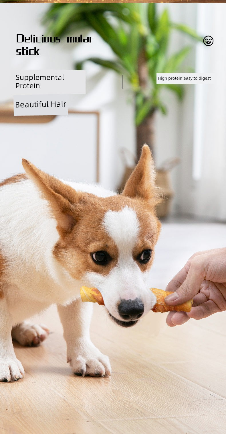 Bite-Resistant Medium-Sized Dog Calcium Supplement Teddy Corgi Teeth Cleaning PET SYUPPLIES