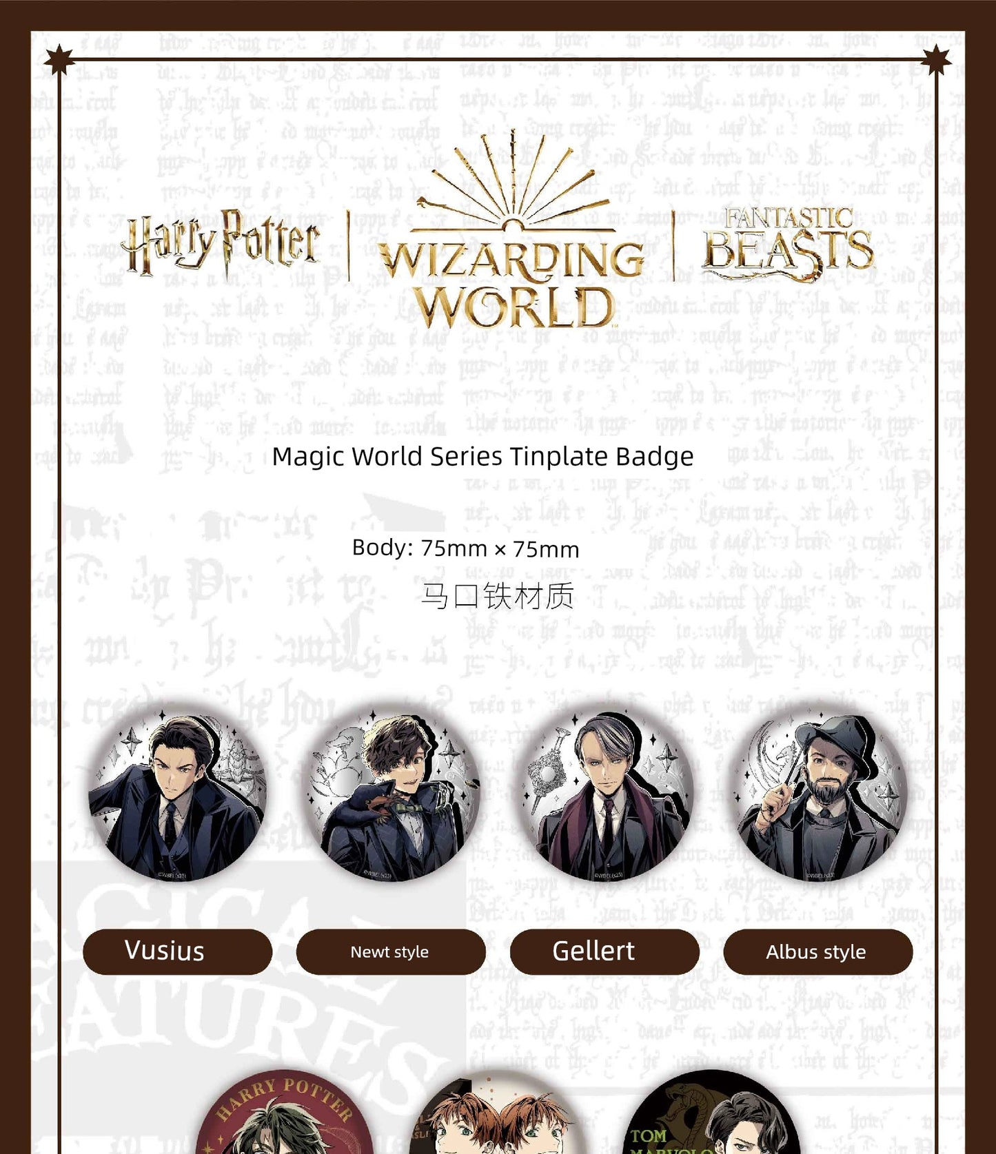 Harry Potter  Badge
