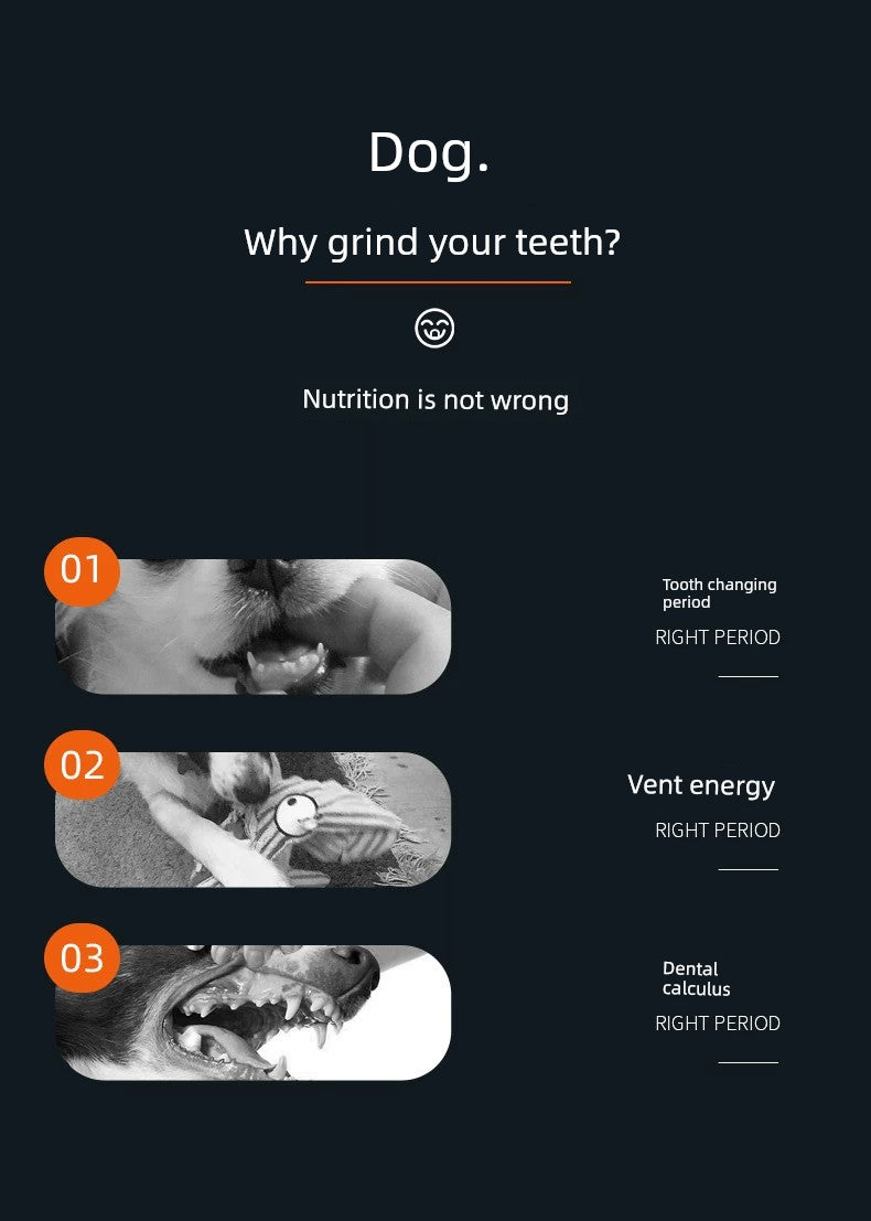 Bite-Resistant Medium-Sized Dog Calcium Supplement Teddy Corgi Teeth Cleaning PET SYUPPLIES
